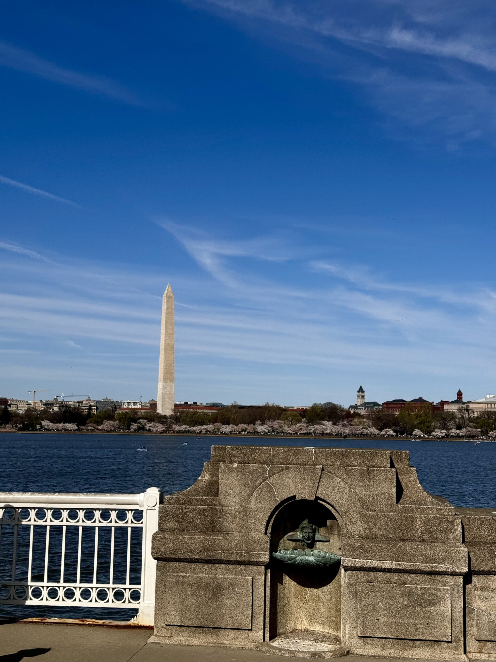 Image hover effect image