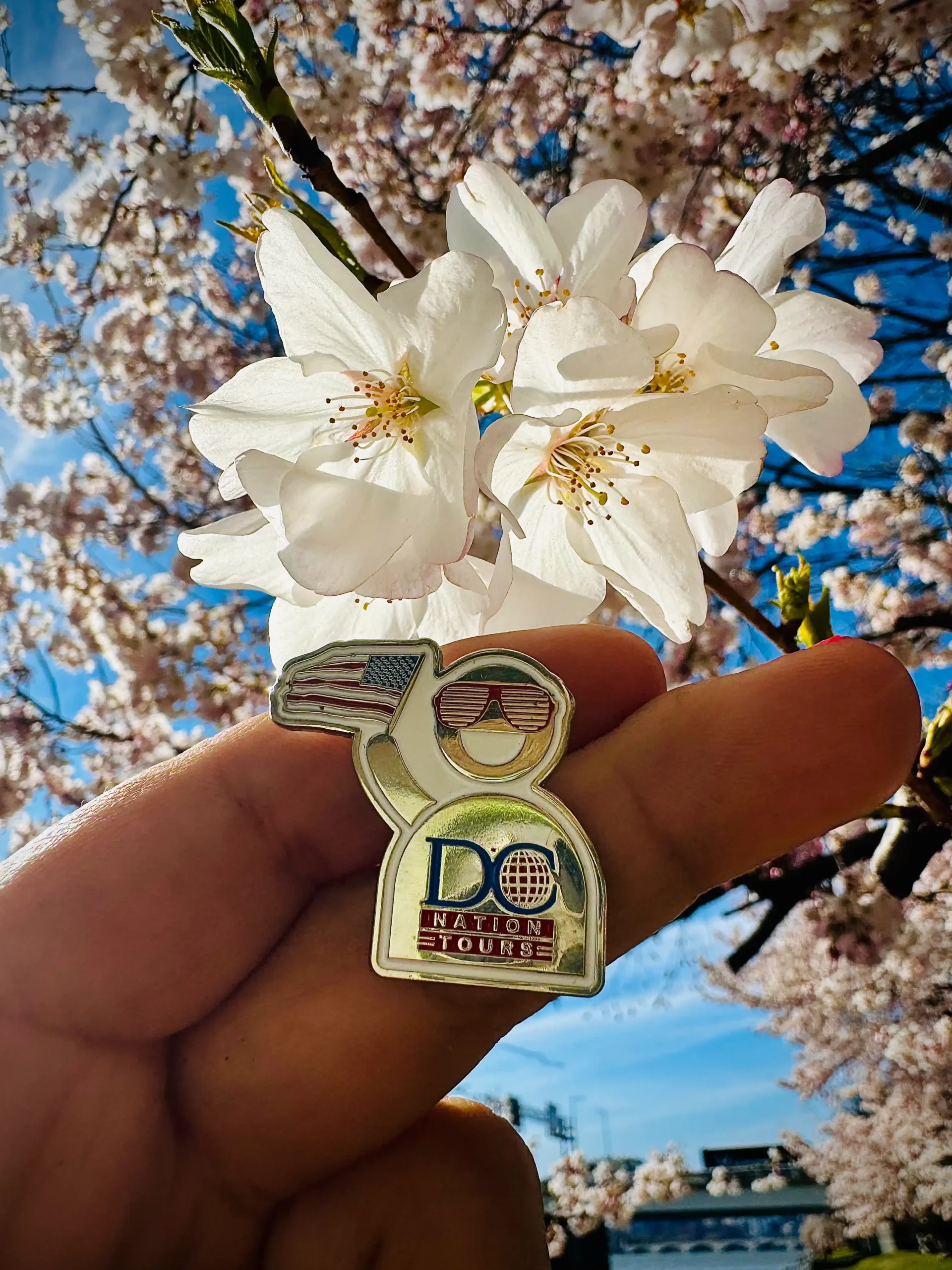 Image hover effect image