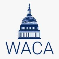 WhatsApp Image 2025-01-20 at 16.10.56 (1)