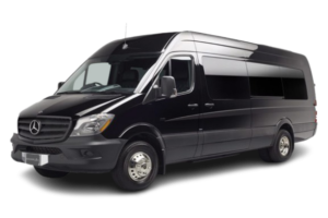 Black Executive Sprinter