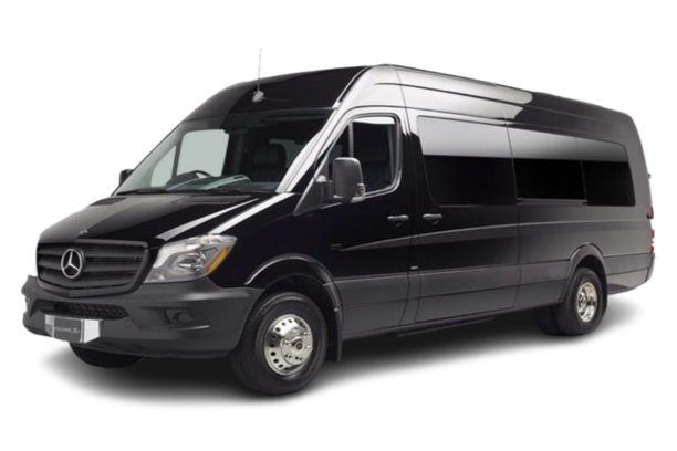 Black Executive Sprinter