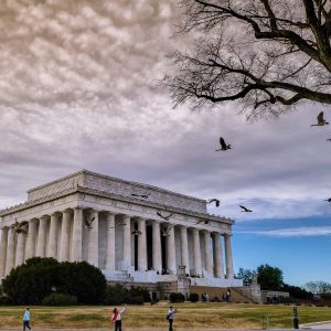 IMG_20190208_163204_DRO